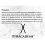PhiBrows Shading Presencial